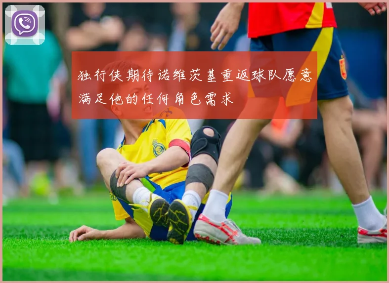 独行侠期待诺维茨基重返球队愿意满足他的任何角色需求