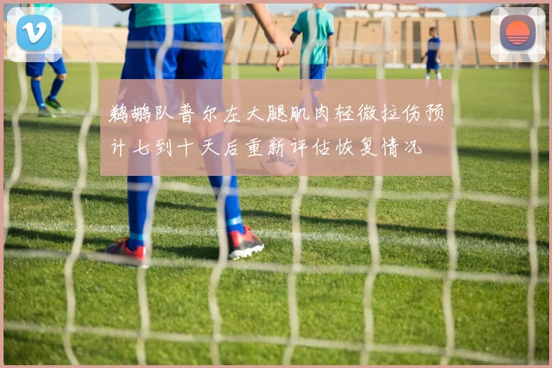 鹈鹕队普尔左大腿肌肉轻微拉伤预计七到十天后重新评估恢复情况