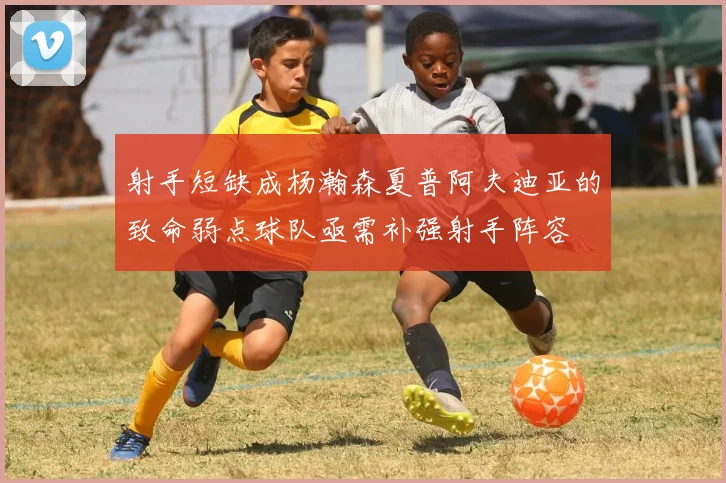 射手短缺成杨瀚森夏普阿夫迪亚的致命弱点球队亟需补强射手阵容