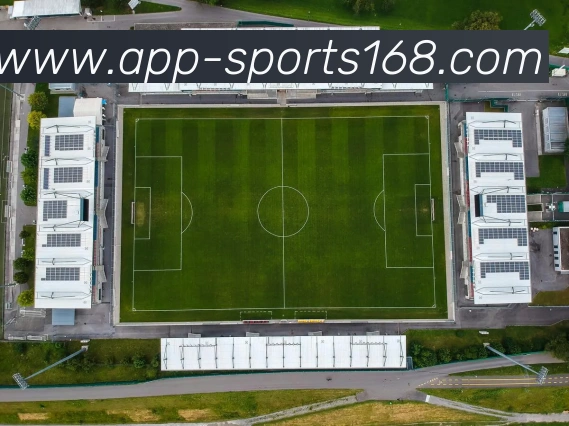 168体育APP 封面图